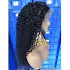Tangle Free Deep Wave 300% Pre-Plucked Lace Front Wig